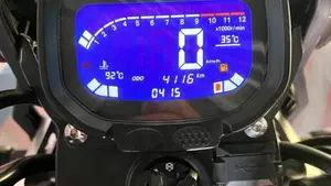 Voge Trofeo 300ACX Scrambler (2021 - 26)  (11)