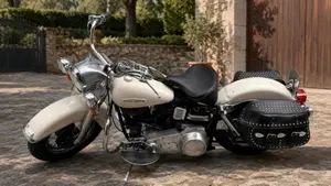 Harley-Davidson   (2)