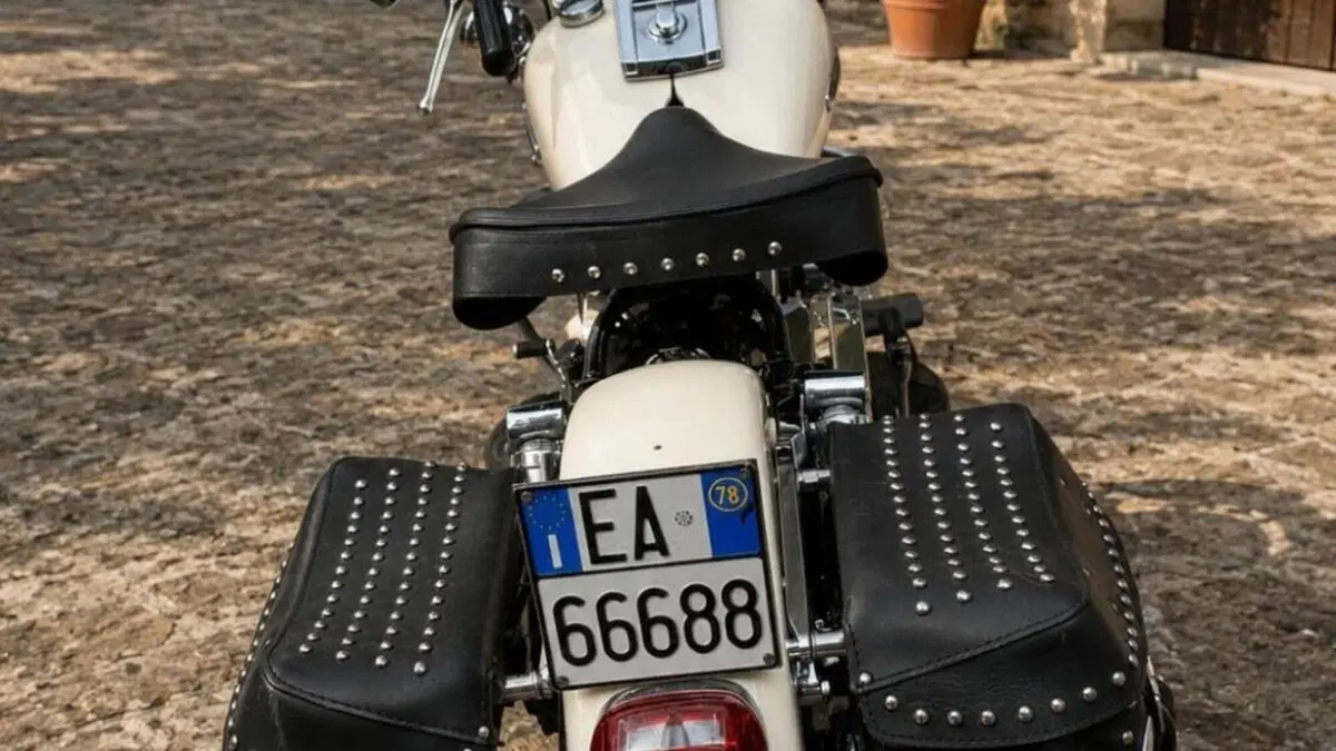 Harley-Davidson   (3)