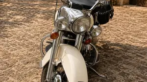 Harley-Davidson   (4)