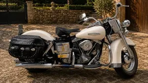 Harley-Davidson   (5)
