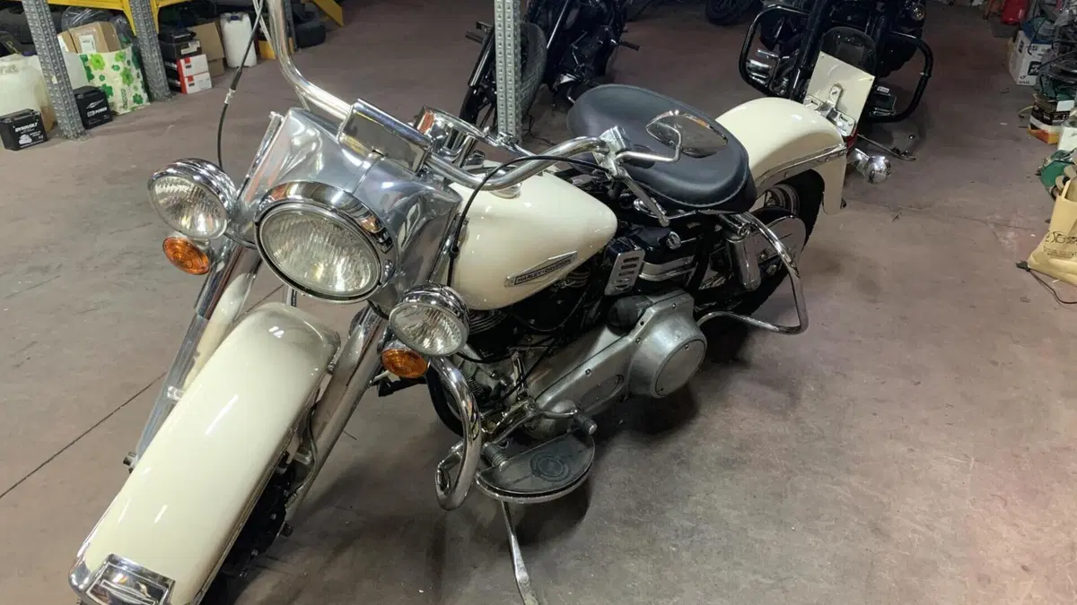 Harley-Davidson   (7)