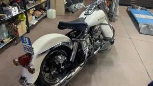 Harley-Davidson   (8)