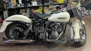 Harley-Davidson   (9)