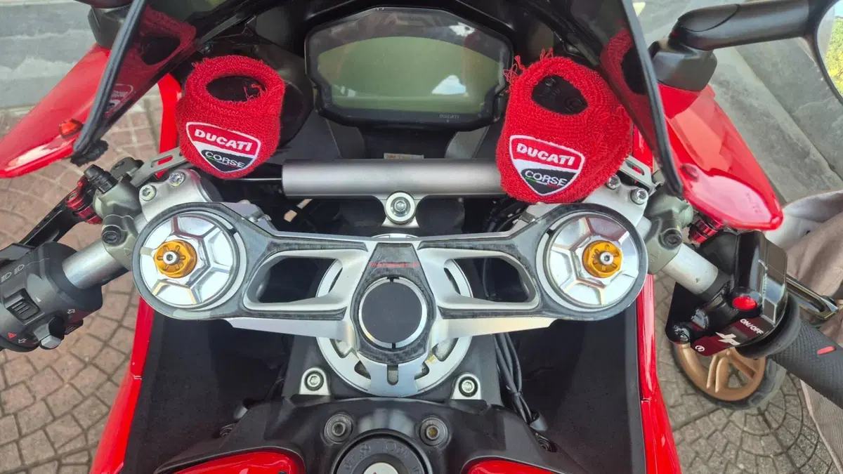 Ducati 959 Panigale (2016 - 19)  (3)