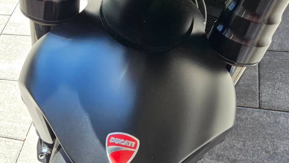 Ducati Diavel 1200 (2014 - 16)  (14)