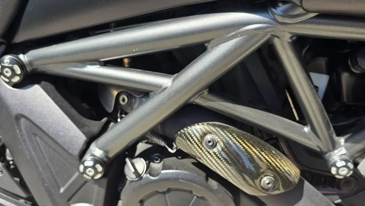 Ducati Diavel 1200 (2014 - 16)  (16)