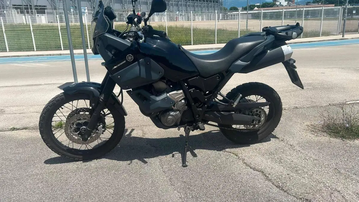 Yamaha XT 660 Z Ténéré (2008 - 16)  (13)