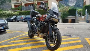 Harley-Davidson Pan America 1250 Special (2020 - 25)  (4)