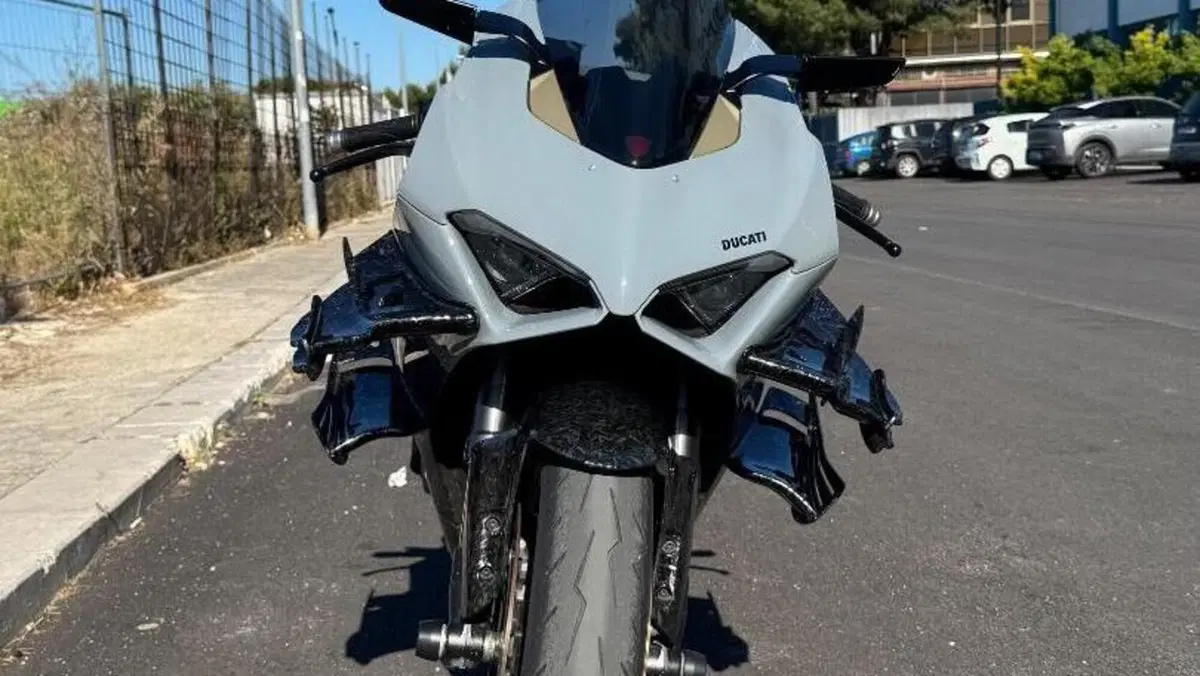 Ducati Panigale V4 1100 (2018 - 19) 