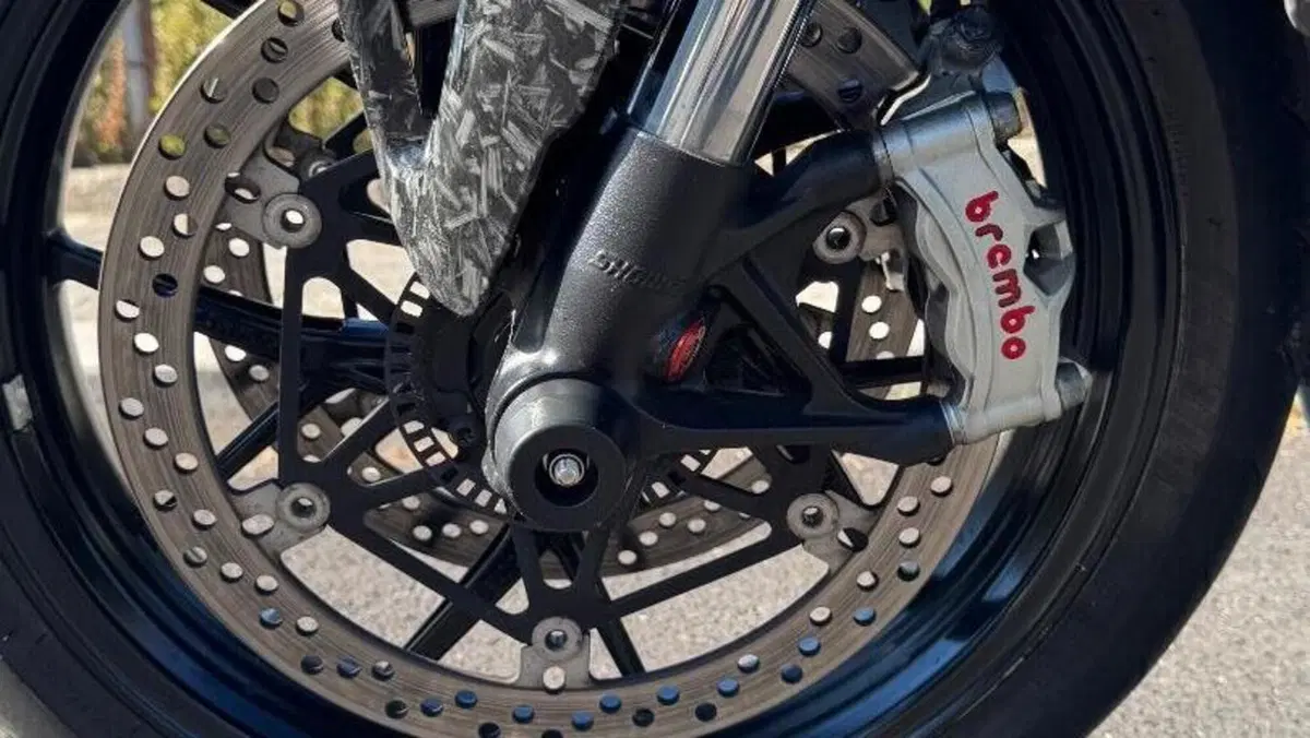 Ducati Panigale V4 1100 (2018 - 19)  (4)