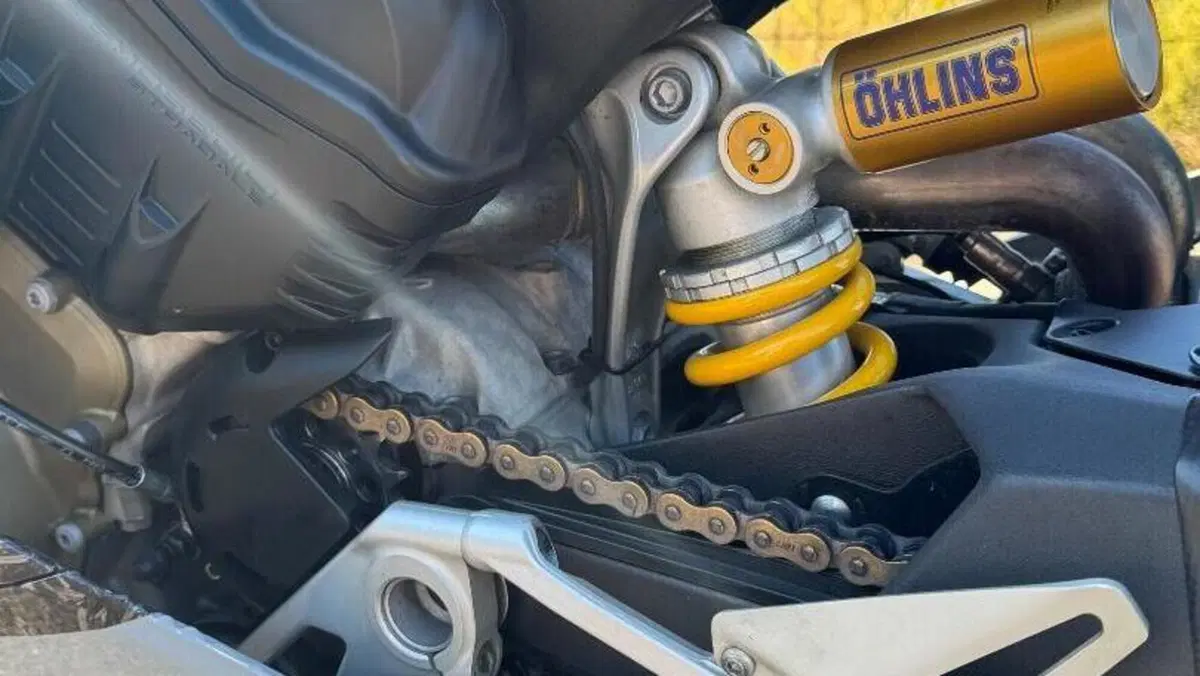 Ducati Panigale V4 1100 (2018 - 19)  (10)
