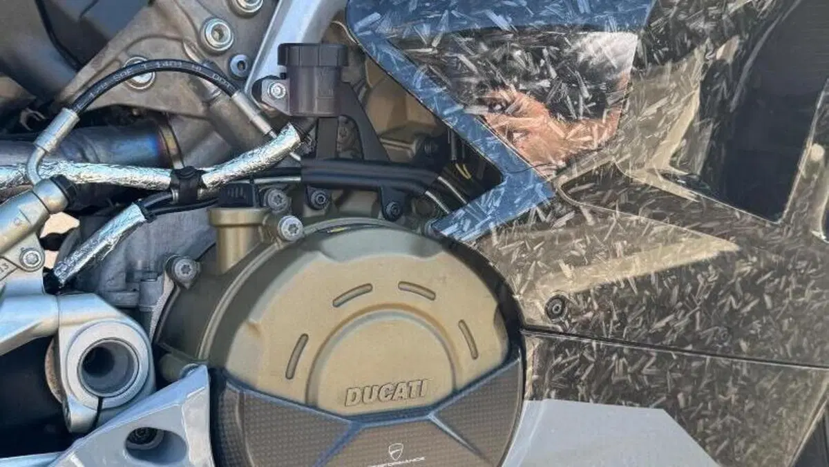 Ducati Panigale V4 1100 (2018 - 19)  (15)