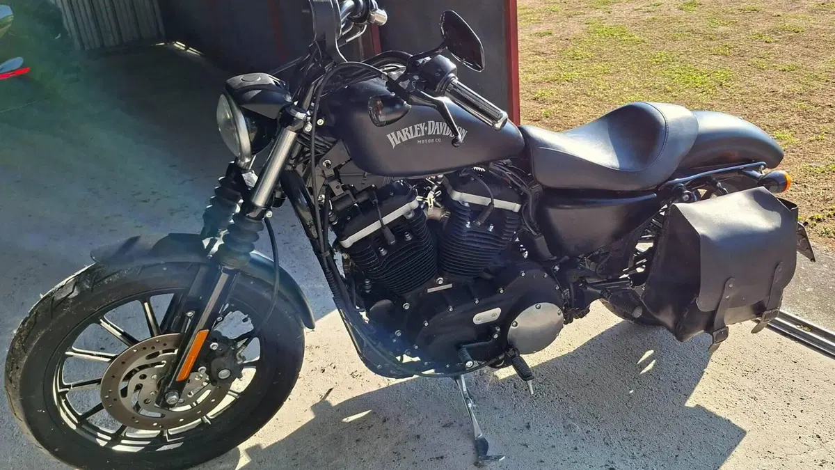 Harley-Davidson 883 Iron (2014 - 16) - XL 883N  (2)