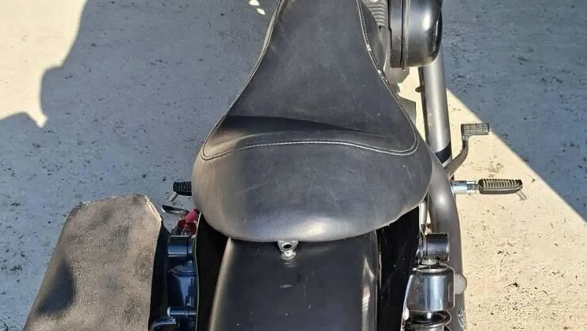 Harley-Davidson 883 Iron (2014 - 16) - XL 883N  (3)