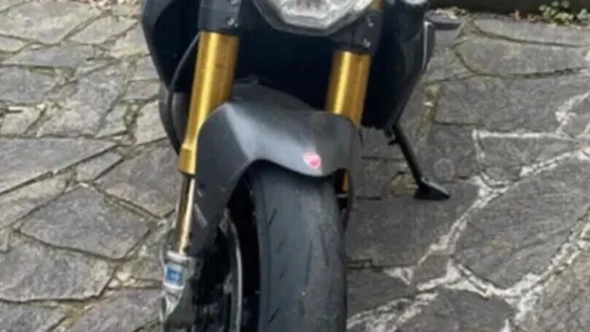 Ducati Monster 1200 S (2017 - 21)  (2)