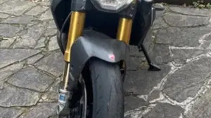 Ducati Monster 1200 S (2017 - 21)  (2)