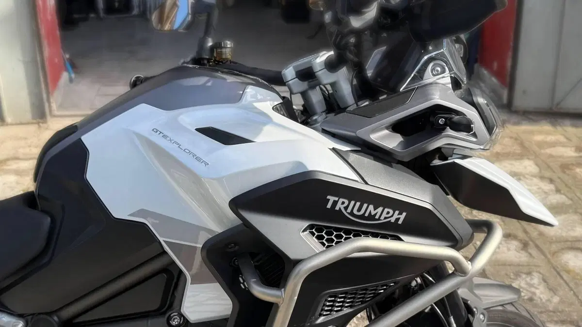 Triumph Tiger 1200 GT Explorer (2022 - 23)  (6)
