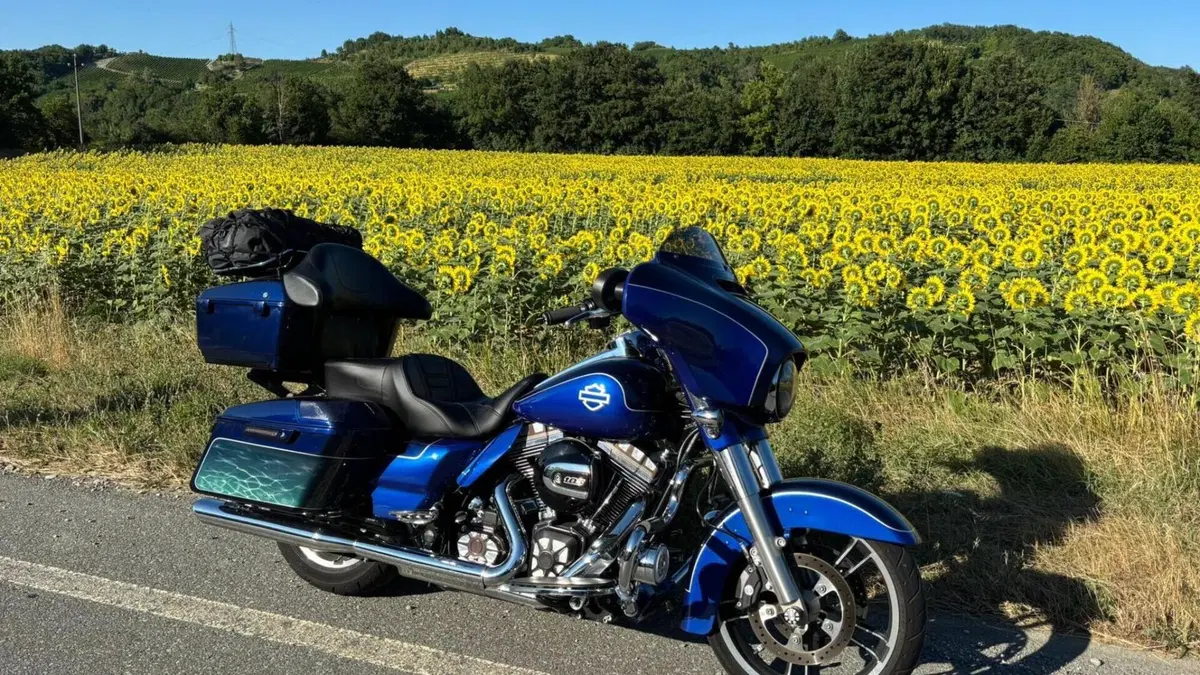 Harley-Davidson 1690 Street Glide Special (2014 - 16) - FLHX  (14)