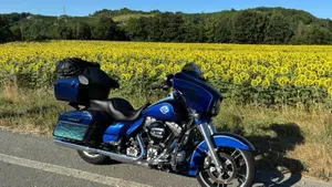 Harley-Davidson 1690 Street Glide Special (2014 - 16) - FLHX  (14)