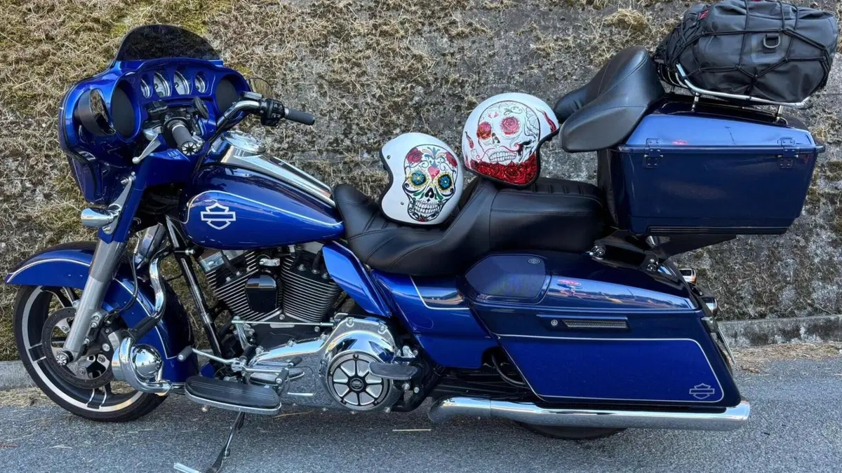 Harley-Davidson 1690 Street Glide Special (2014 - 16) - FLHX  (15)