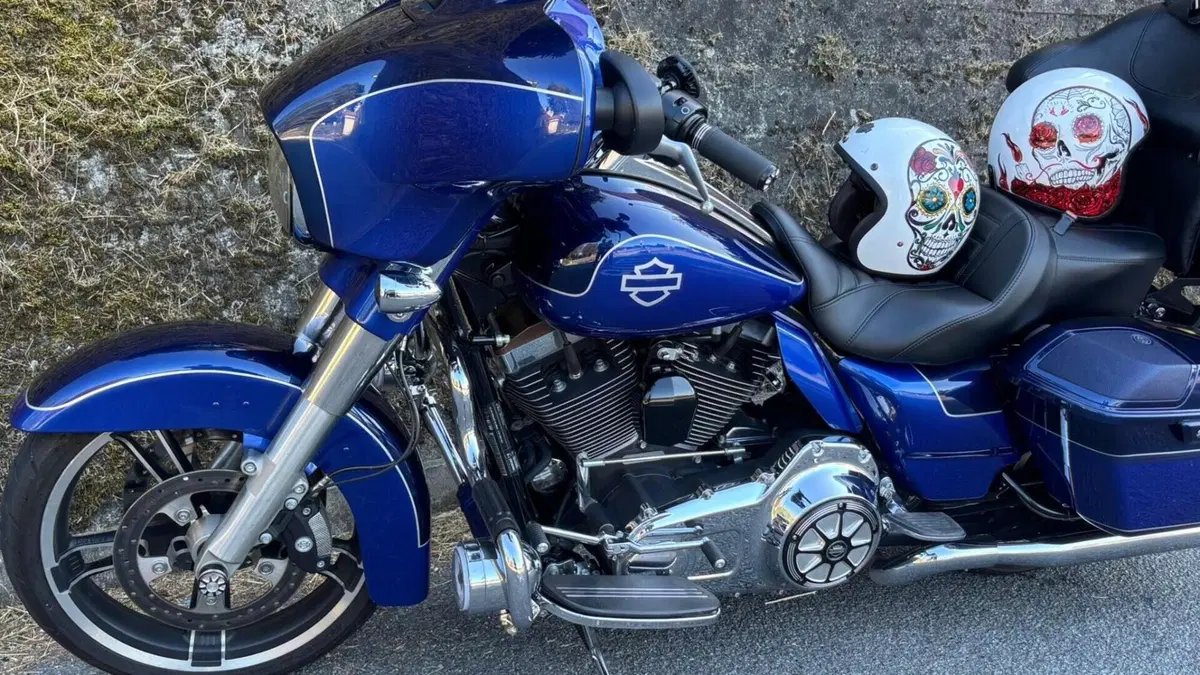 Harley-Davidson 1690 Street Glide Special (2014 - 16) - FLHX  (16)