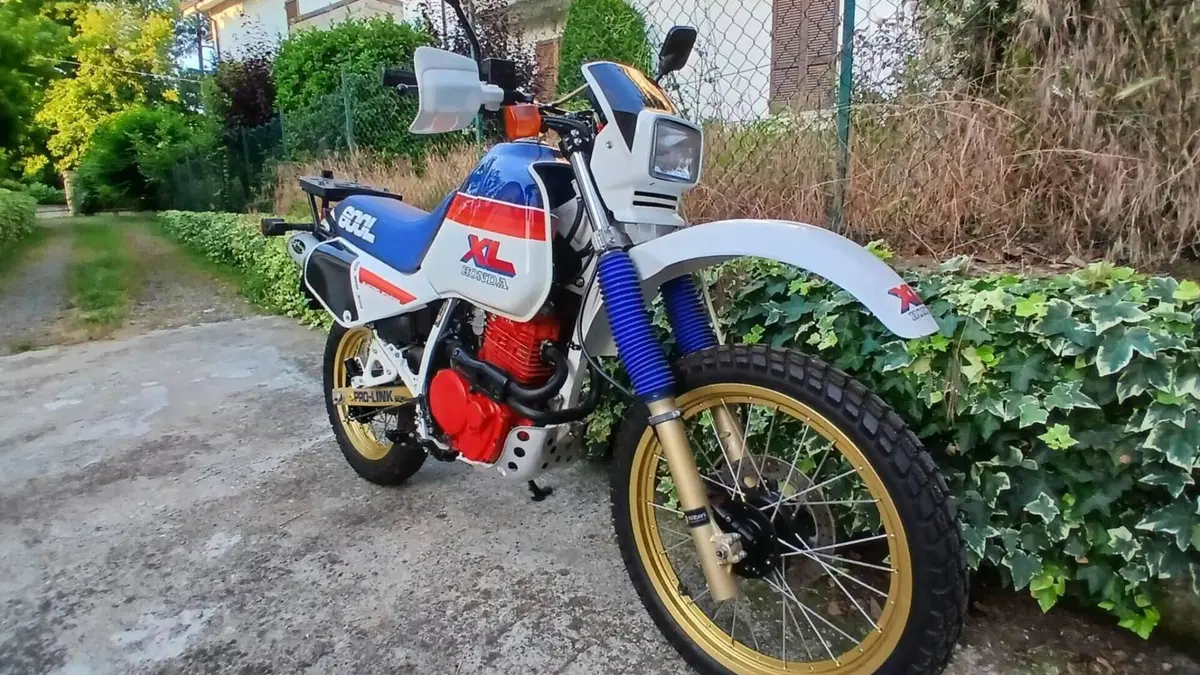 Honda   (10)