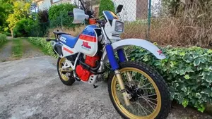 Honda   (10)
