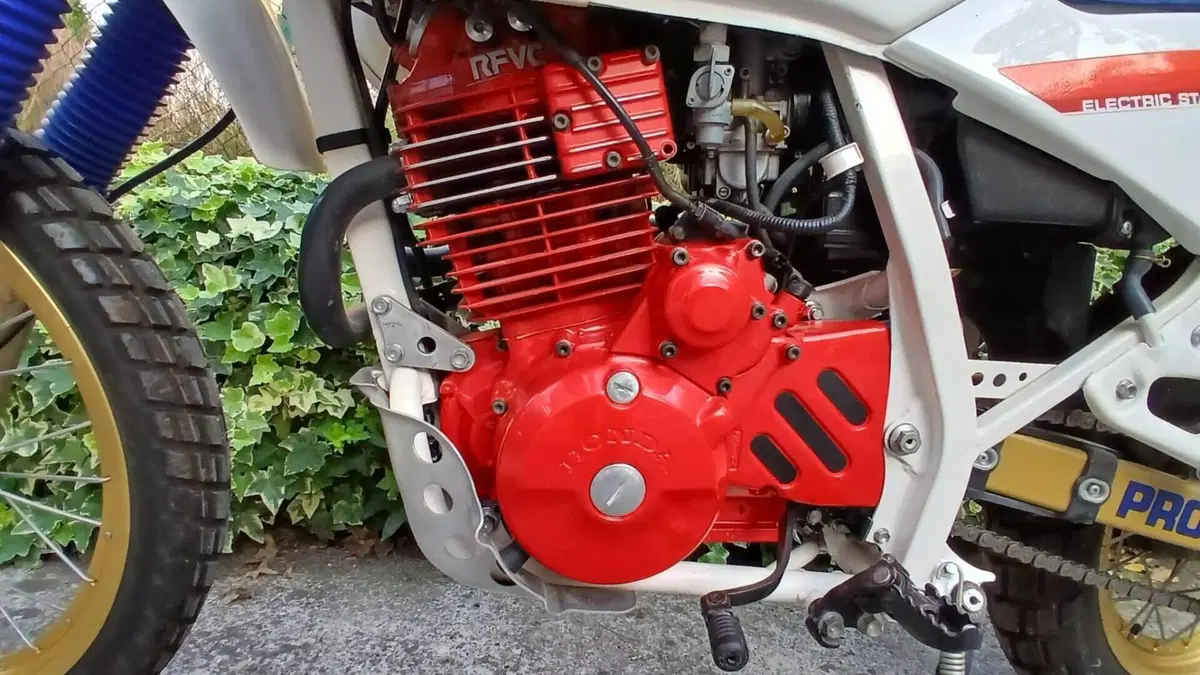 Honda   (11)
