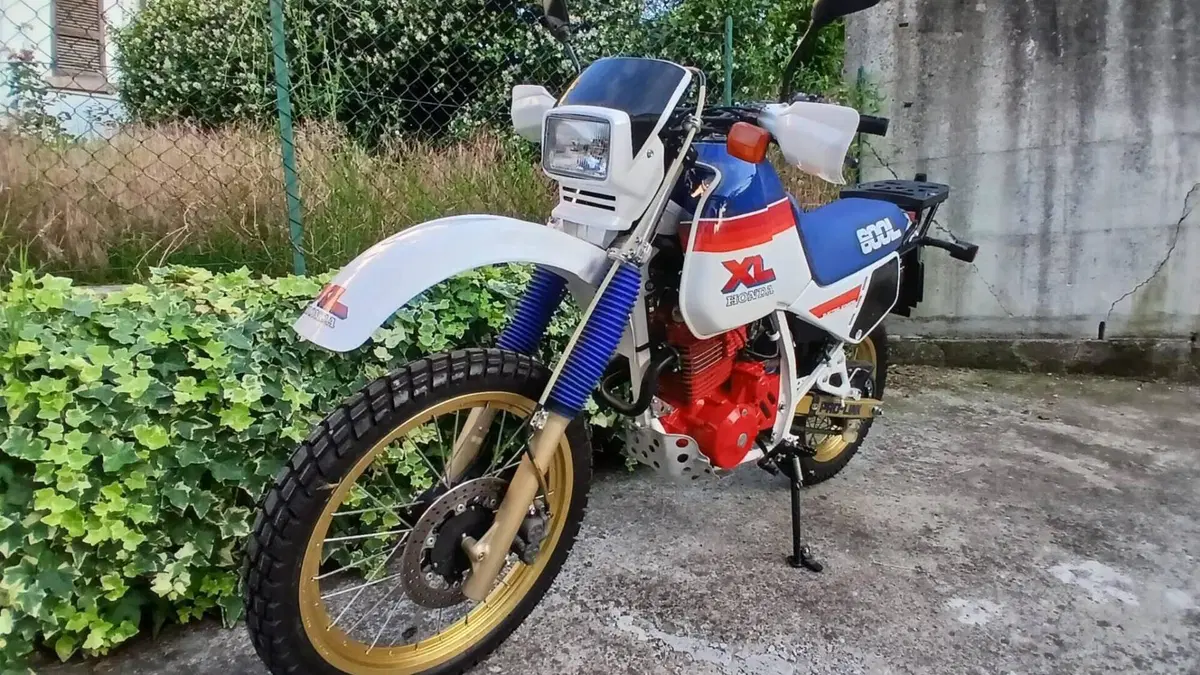 Honda   (13)