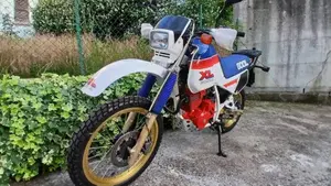 Honda   (13)