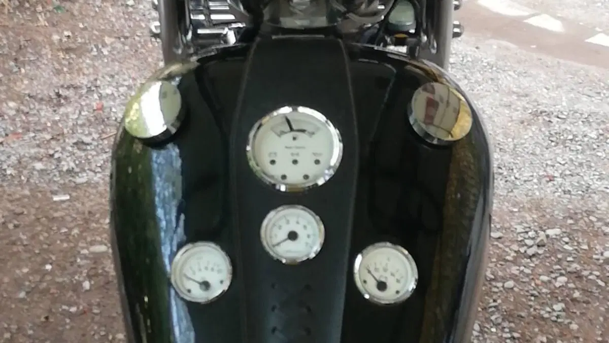 Harley-Davidson Tri Glide Ultra Anniversary (2023)  (3)
