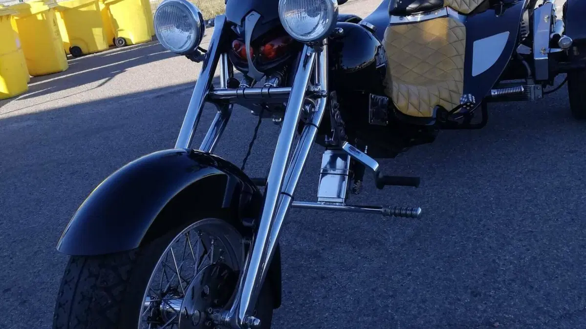 Harley-Davidson Tri Glide Ultra Anniversary (2023)  (8)
