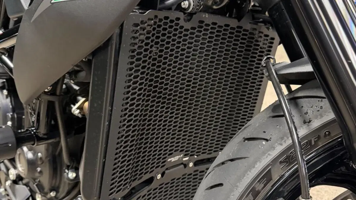 MV Agusta Brutale 800 R (2023 - 25)  (8)