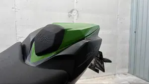 Kawasaki Ninja 1000 ZX-10R SE (2018)  (4)