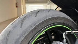Kawasaki Ninja 1000 ZX-10R SE (2018)  (5)