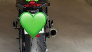Kawasaki Ninja 1000 ZX-10R SE (2018)  (12)