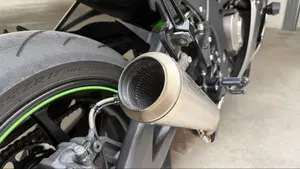 Kawasaki Ninja 1000 ZX-10R SE (2018)  (13)