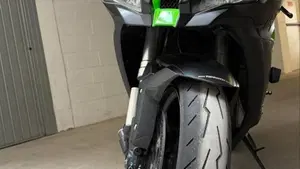 Kawasaki Ninja 1000 ZX-10R SE (2018)  (14)