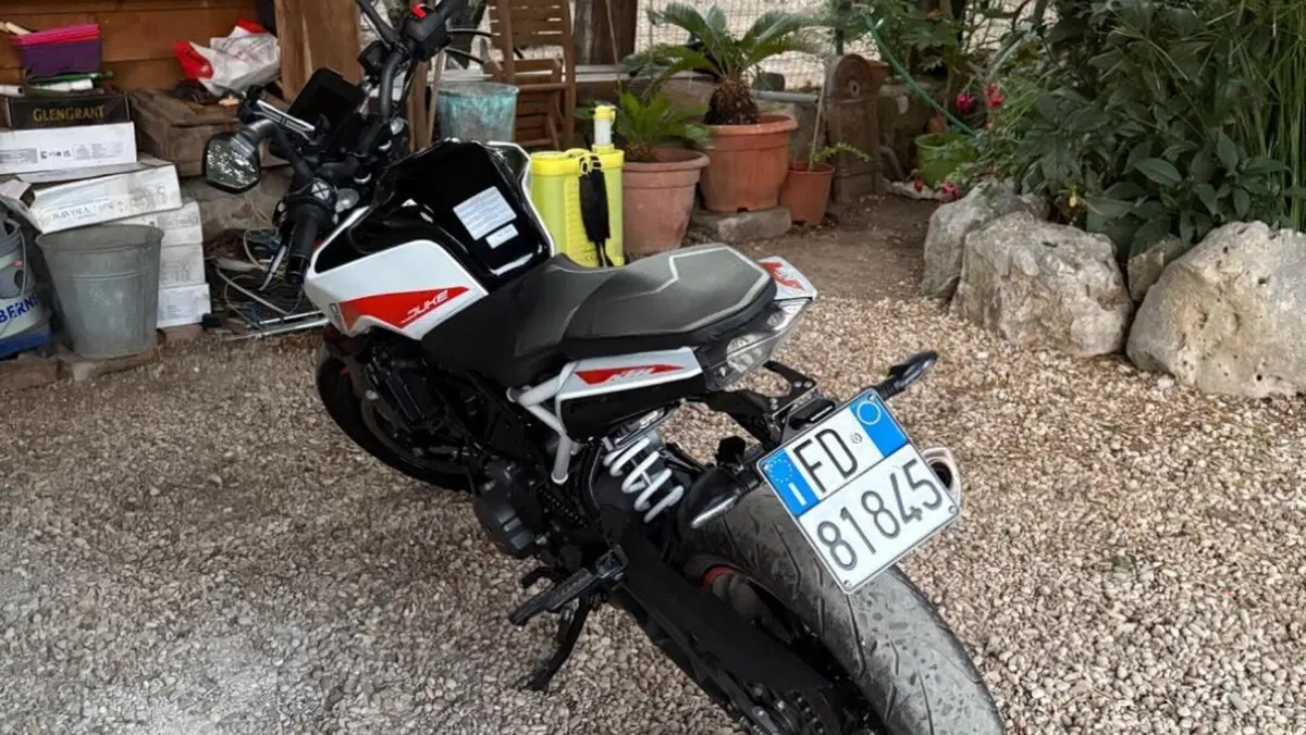 KTM 390 Duke (2021 - 23)  (6)