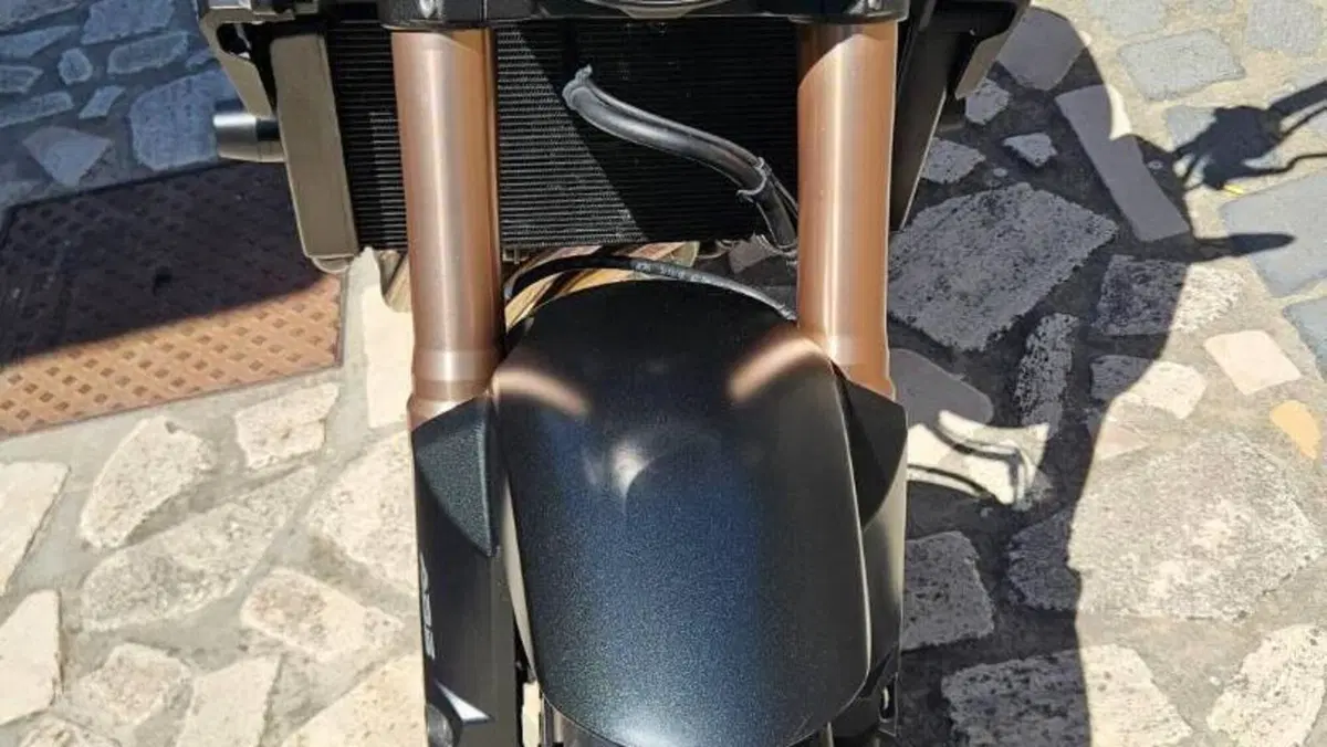 Honda CB 650 R (2019 - 20)  (7)