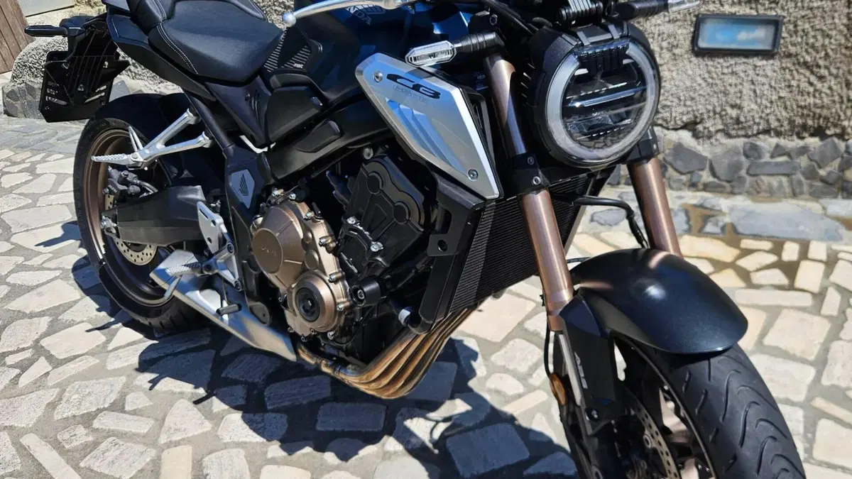 Honda CB 650 R (2019 - 20)  (11)