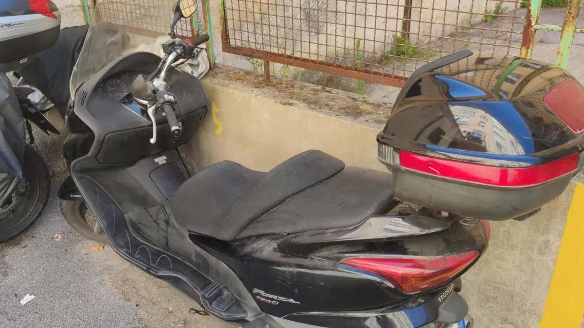 Honda Forza 250 EX (2005 - 07)  (3)
