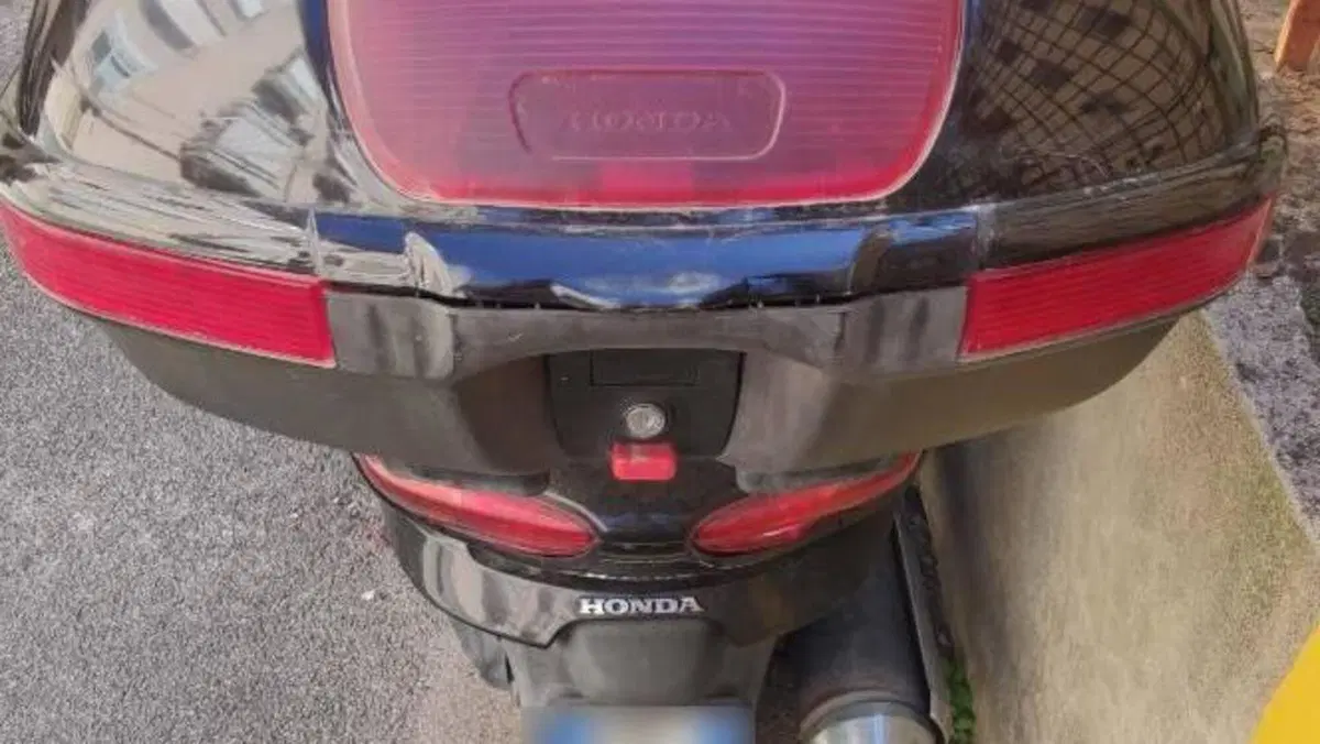 Honda Forza 250 EX (2005 - 07)  (5)