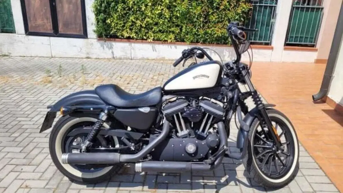 Harley-Davidson 883 Iron (2009 - 11) - XL 883N  (2)