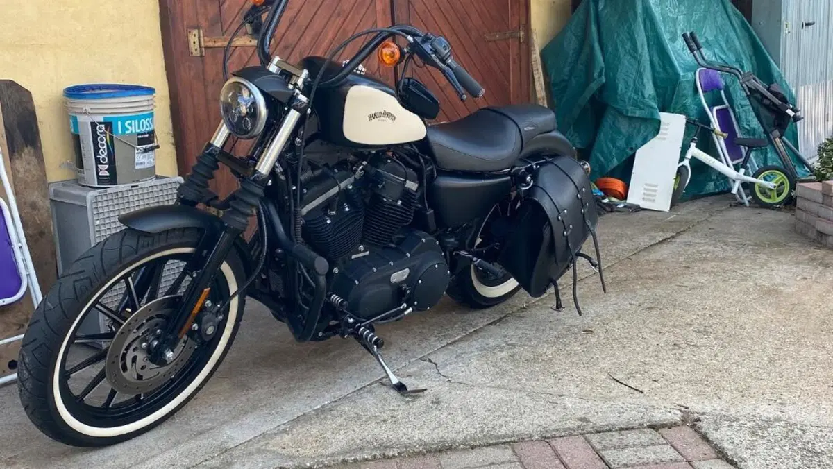 Harley-Davidson 883 Iron (2009 - 11) - XL 883N  (3)