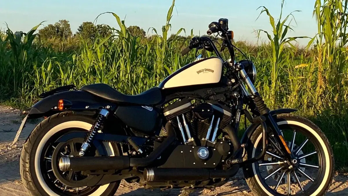 Harley-Davidson 883 Iron (2009 - 11) - XL 883N  (5)