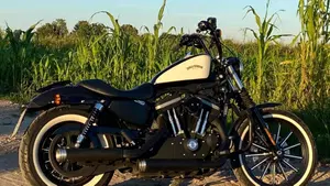 Harley-Davidson 883 Iron (2009 - 11) - XL 883N  (5)