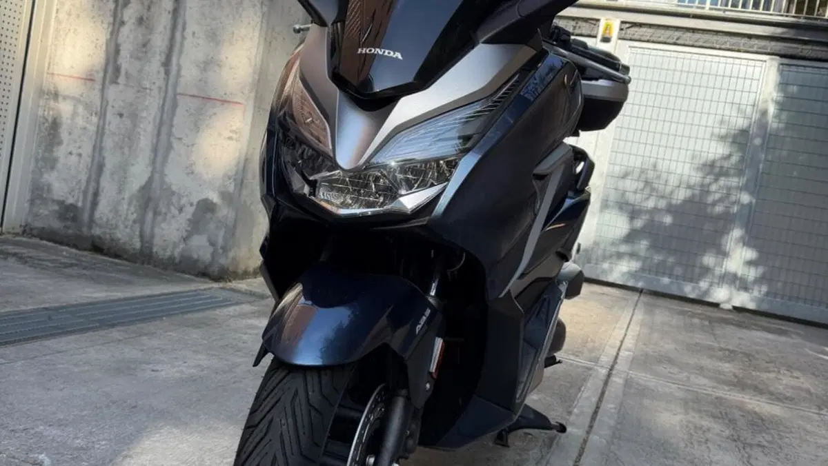 Honda Forza 300 ABS (2018 - 20)  (6)