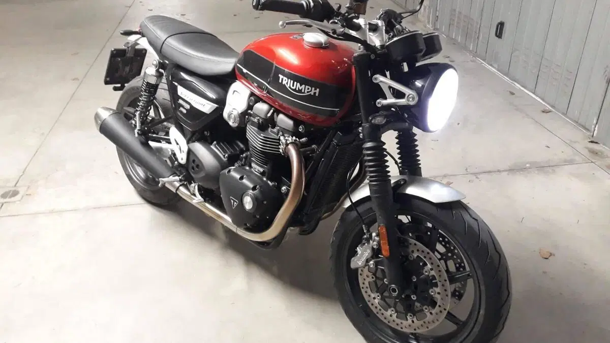 Triumph Speed Twin 1200 (2019 - 20)  (4)